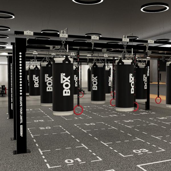 Boxing Gyms