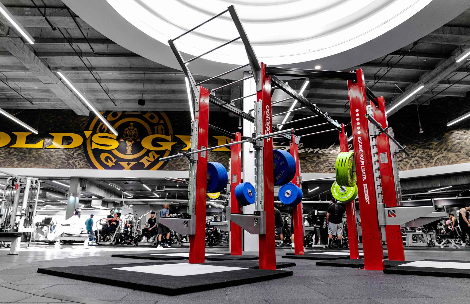 Functional Fitness Equipment, Gym Design and Training Solutions. - Escape  Fitness USA