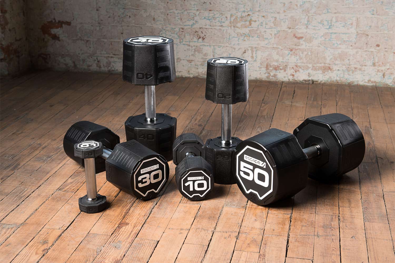 Free Weights Dumbbells